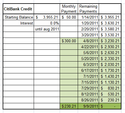 Credit Card Payoff Chart