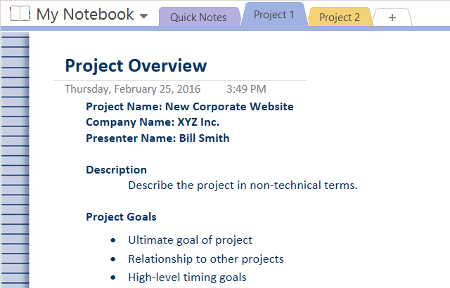 project-overview-template-3-3
