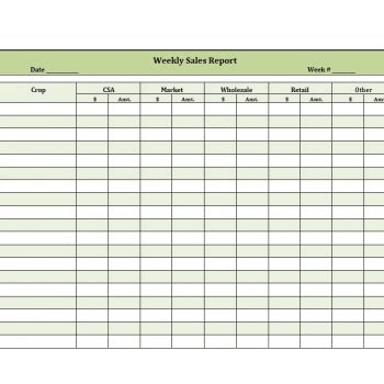 10 Free Daily Sales Report Templates Word Excel Templates
