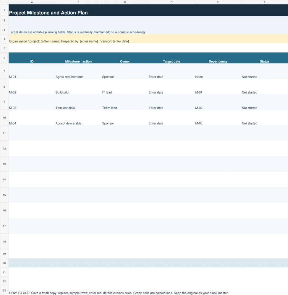 Preview of Project Milestone and Action Plan